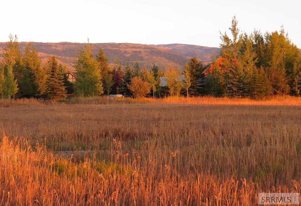 1230 Wind River Trail Driggs, ID 83422 - Photo 3 of 4