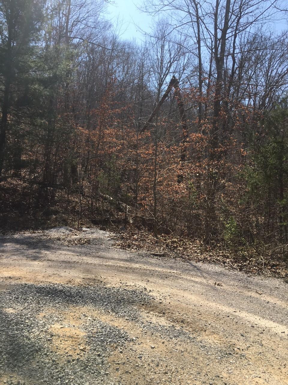 27 Timber Creek Road Maynardville, TN 37807 - Photo 5 of 7 TC6