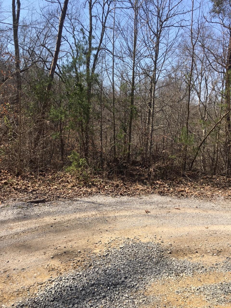 27 Timber Creek Road Maynardville, TN 37807 - Photo 6 of 7 TC7