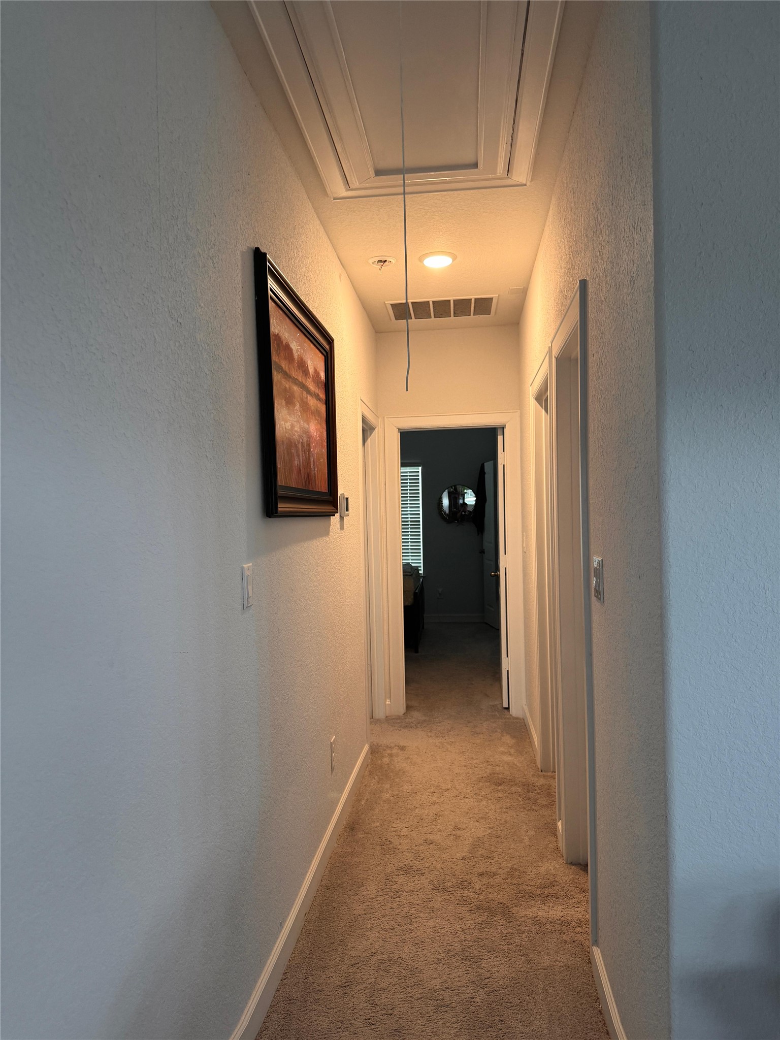 650 Wild Pecan Loop Buda, TX 78610 - Photo 19 of 28 Hall featuring attic access, a textured wall, and light colored carpet