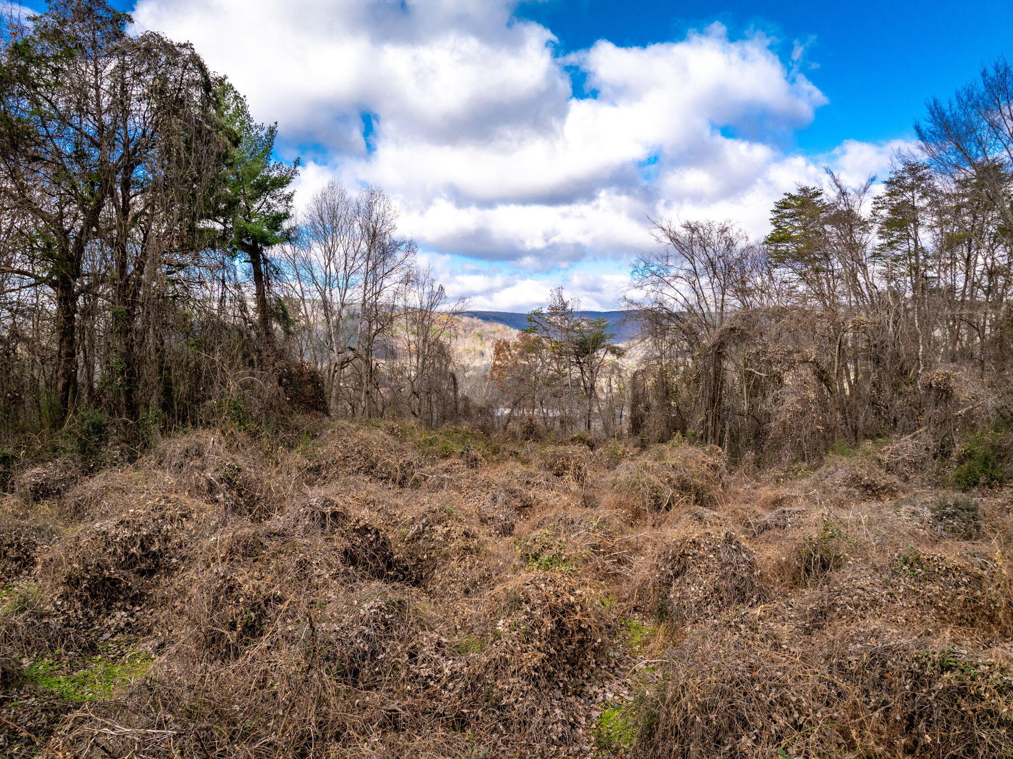 1085 Rhea County Highway Dayton, TN 37321 - Photo 14 of 17 13-web-or-mls-DJI_20241211113547_0567_D-