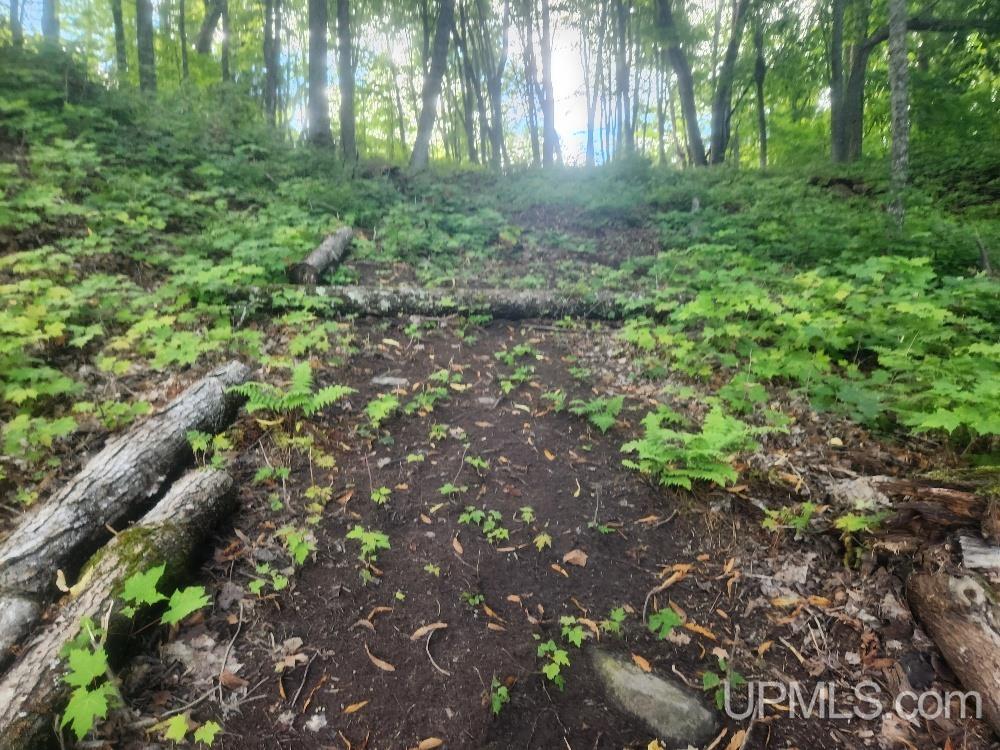 Tbd West Tamarack Lake Road, Unit LOT 5 Watersmeet, MI 49969 - Photo 57 of 66