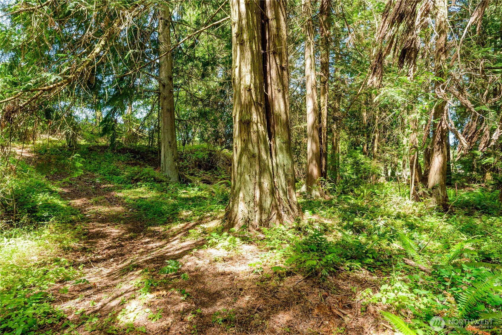 8888 Charles Roberts Road Sequim, WA 98382 - Photo 15 of 15
