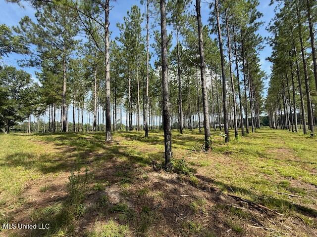 401 Montgomery Road Southwest Summit, MS 39666 - Photo 14 of 24 IMG_5885