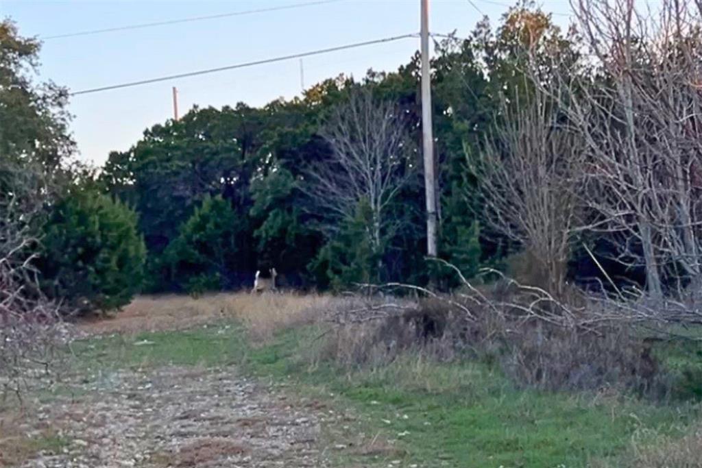 925 Cedar Ridge Road Gatesville, TX 76528 - Photo 6 of 15