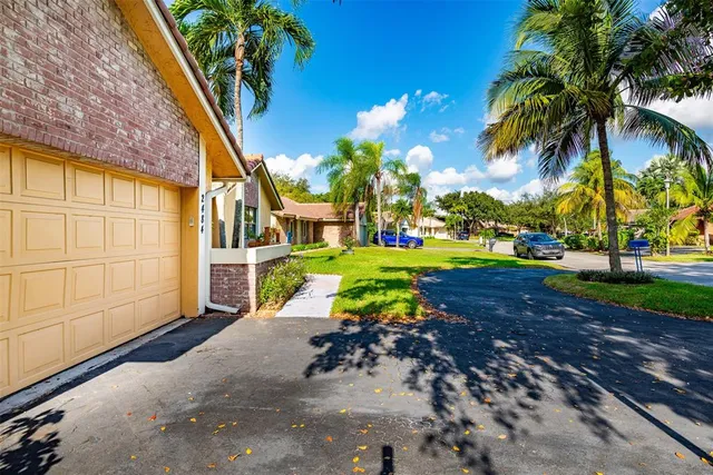 a view of a park with plants and palm trees