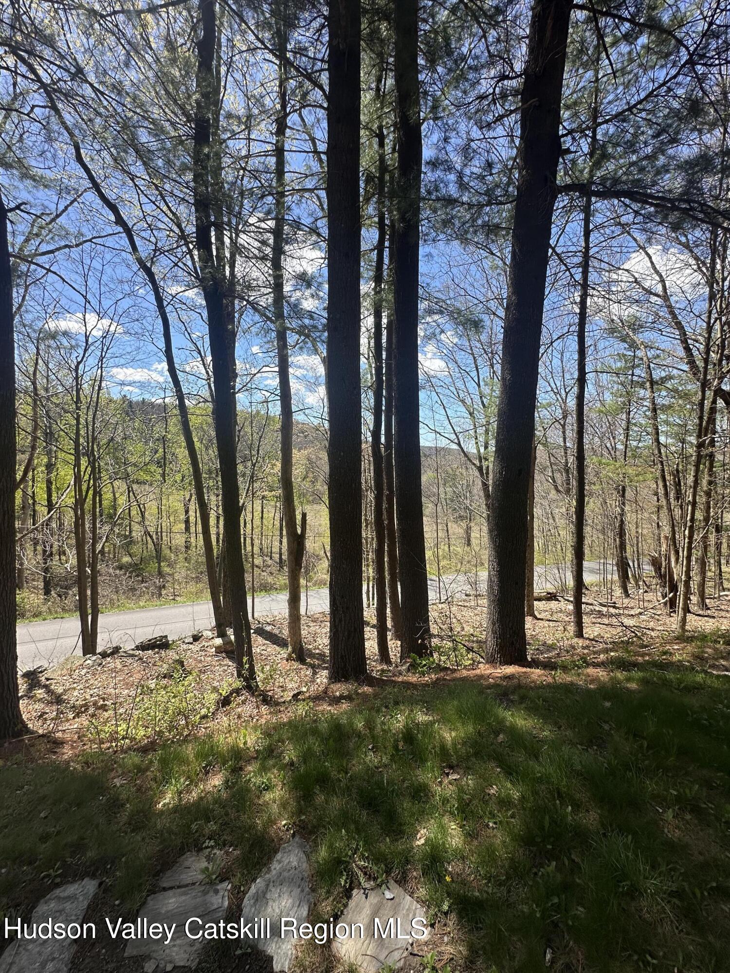 694 Dugway Road Chatham, NY 12037 - Photo 10 of 11 IMG_6261
