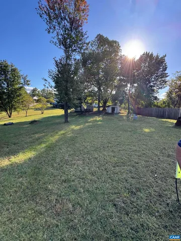 a view of a trees in a park