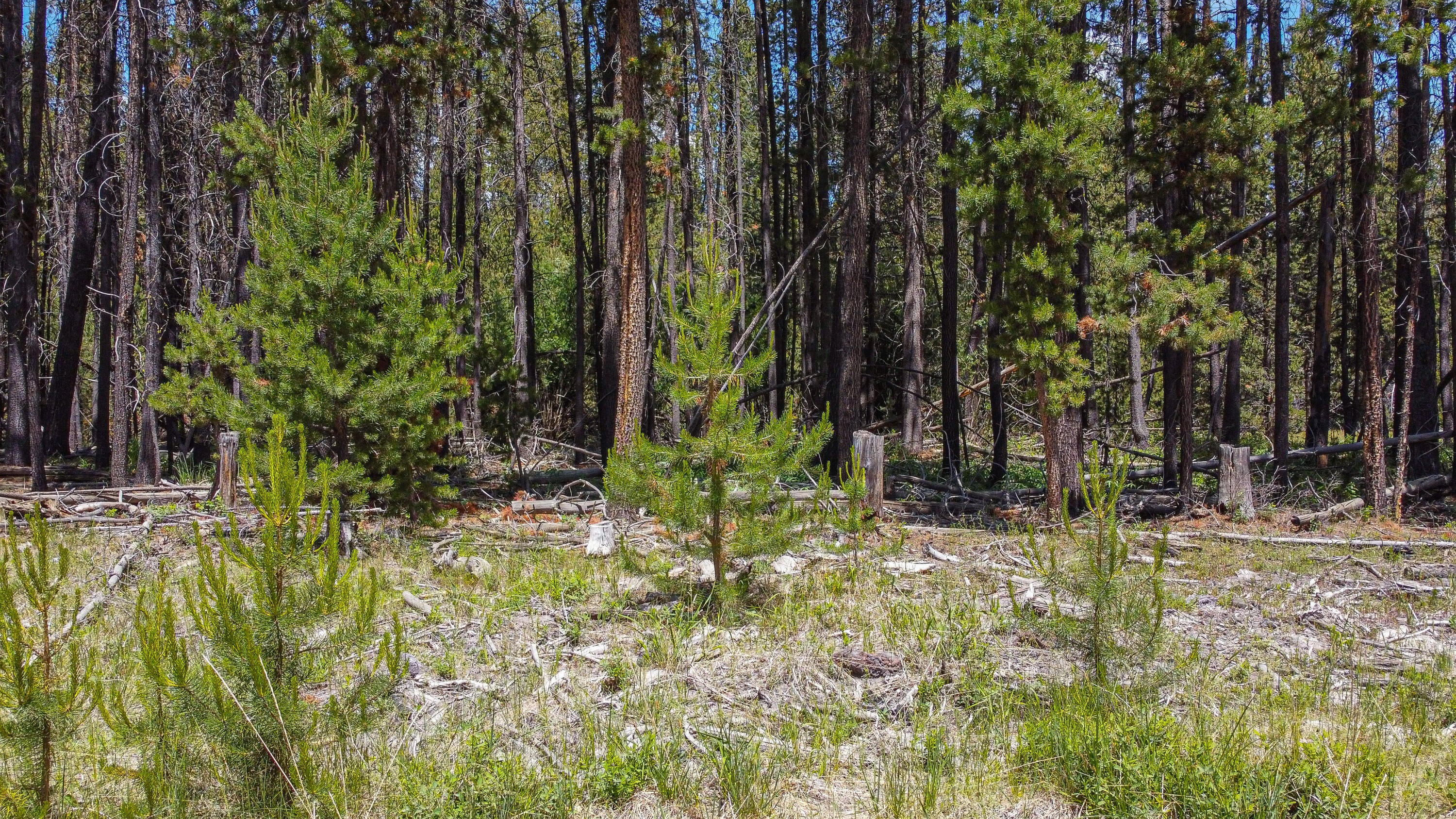 16944 Glendale Road Bend, OR 97707 - Photo 13 of 13 16944 Glendale-10