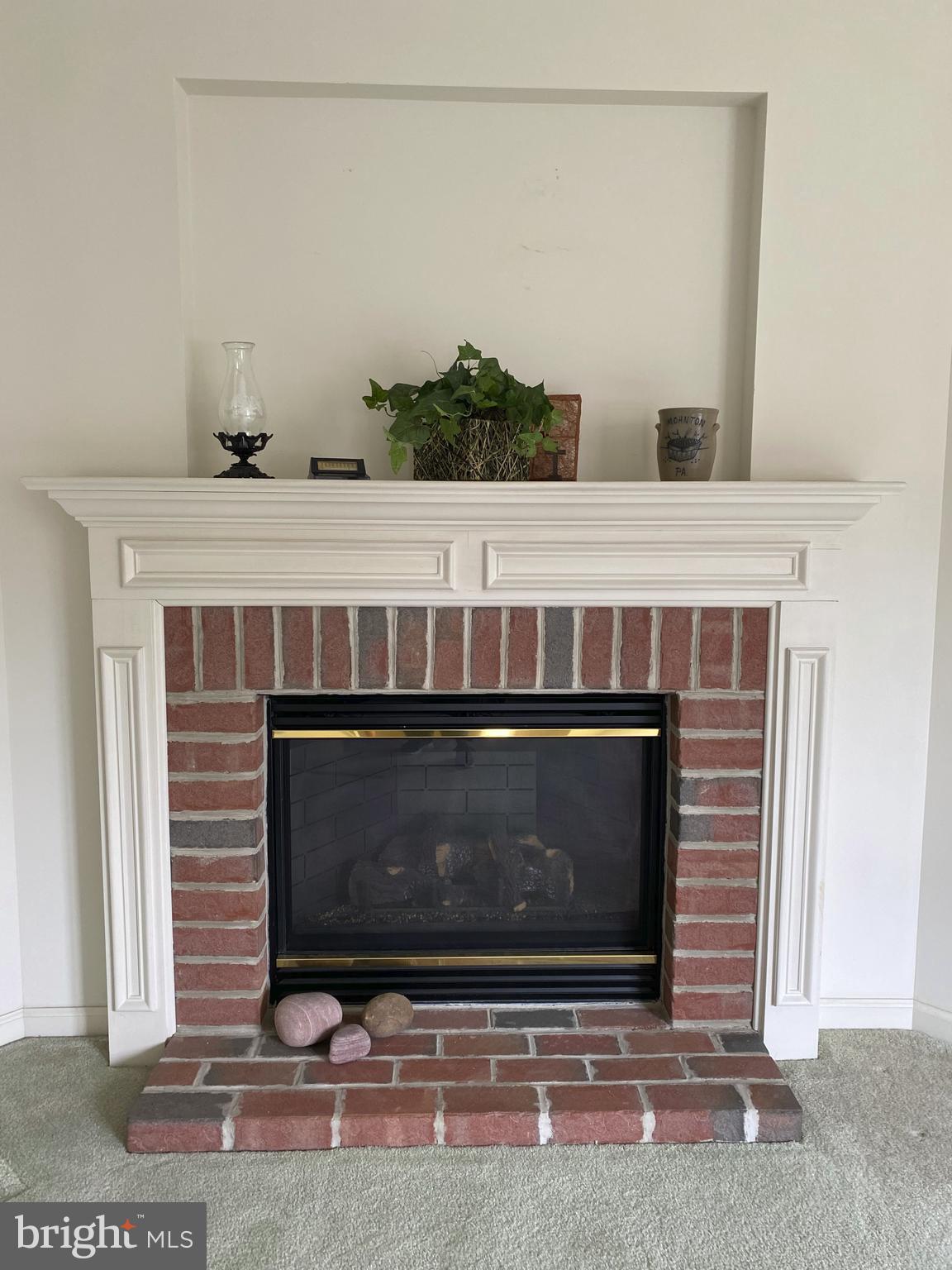 18 Doe Run Shillington, PA 19607 - Photo 12 of 56 gas fireplace