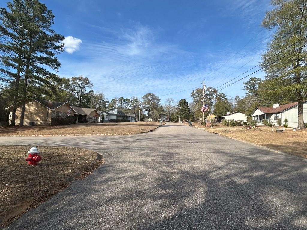 9-ac Whittle Hudson Road Ozark, AL 36360 - Photo 25 of 34
