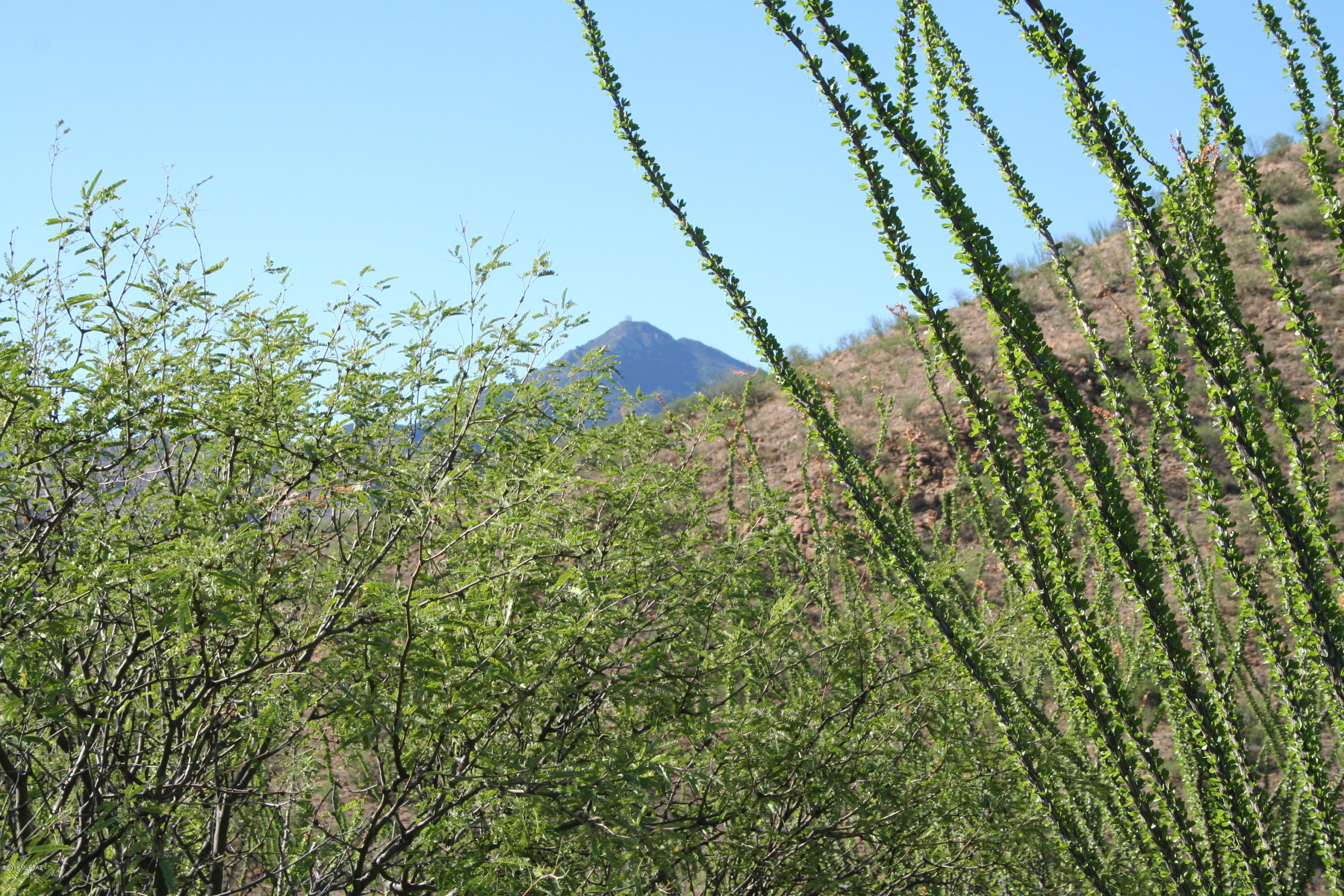 37 Copper Canyon Road, Unit 140 Rio Rico, AZ 85648 - Photo 9 of 17 IMG_9452
