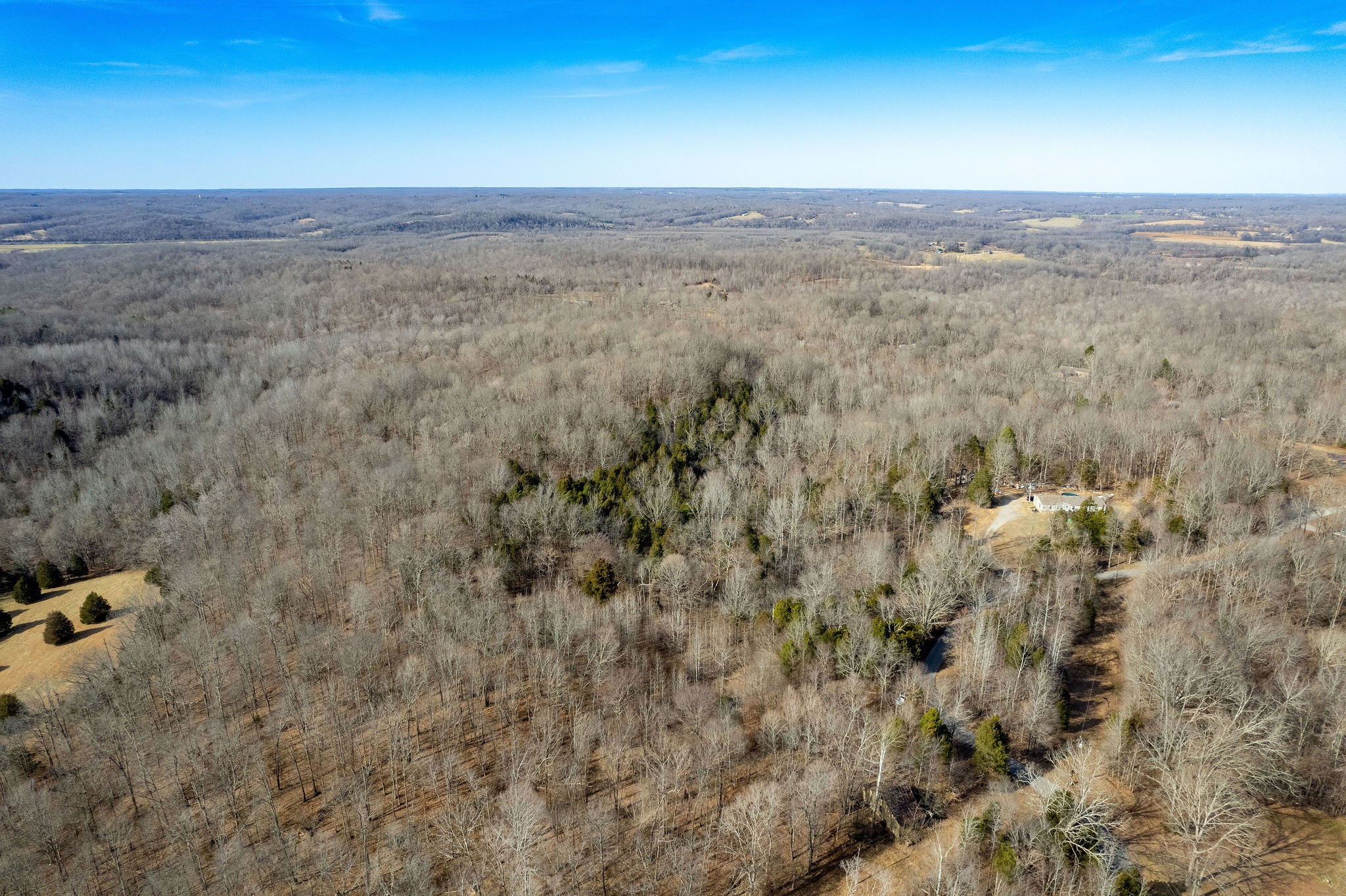 0 Flintridge Road Palmyra, TN 37142 - Photo 12 of 13