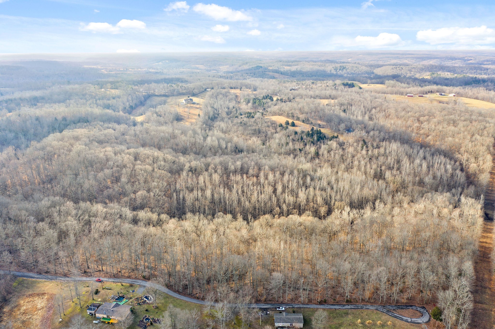 0 Flintridge Road Palmyra, TN 37142 - Photo 2 of 13