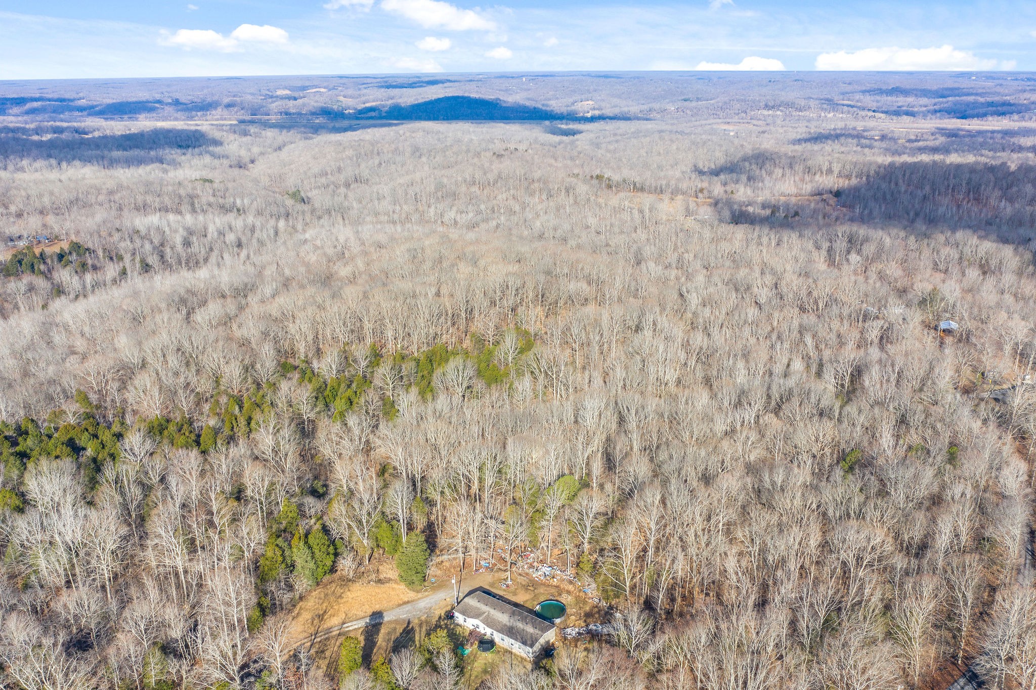 0 Flintridge Road Palmyra, TN 37142 - Photo 3 of 13