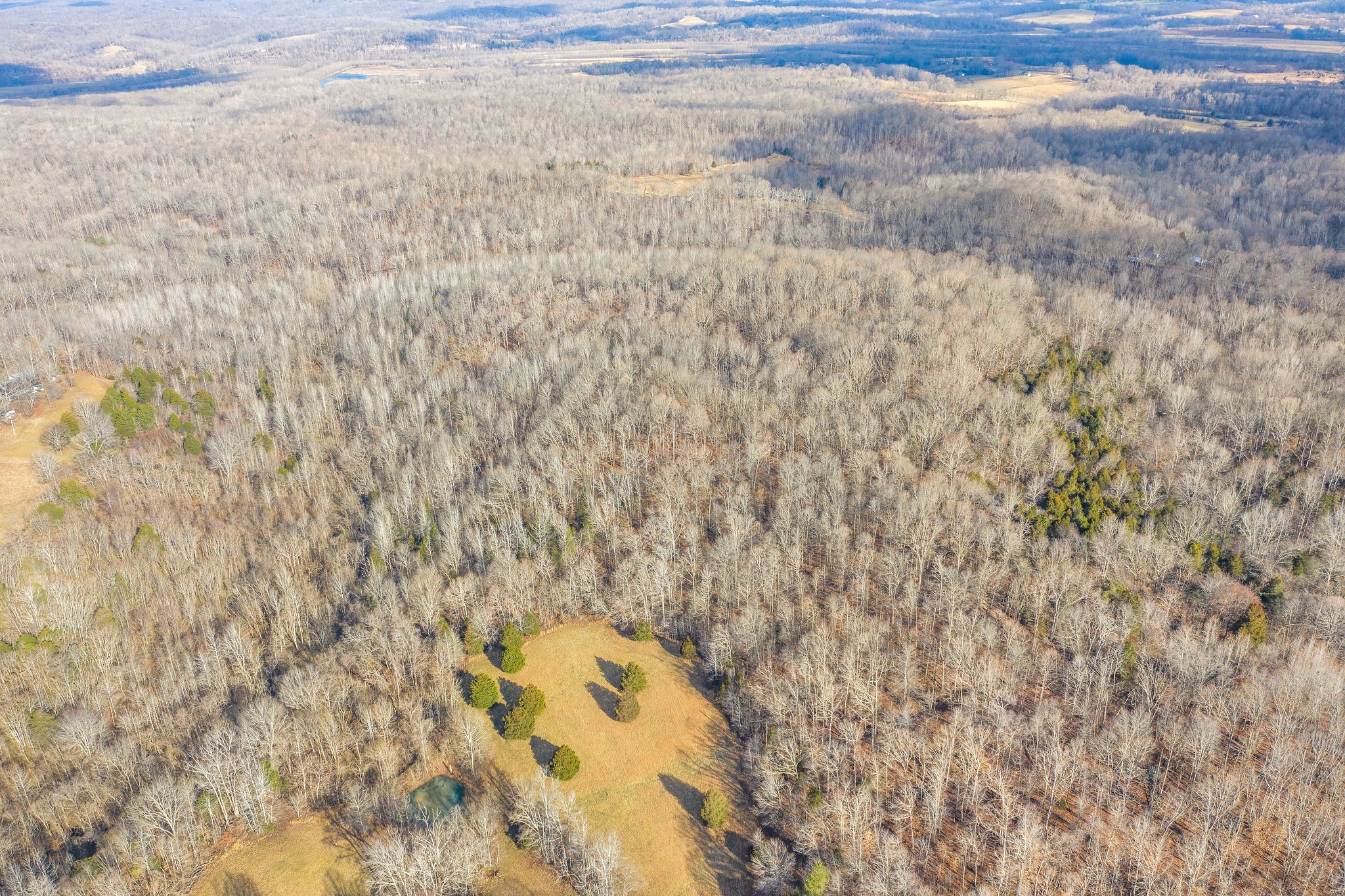 0 Flintridge Road Palmyra, TN 37142 - Photo 4 of 13