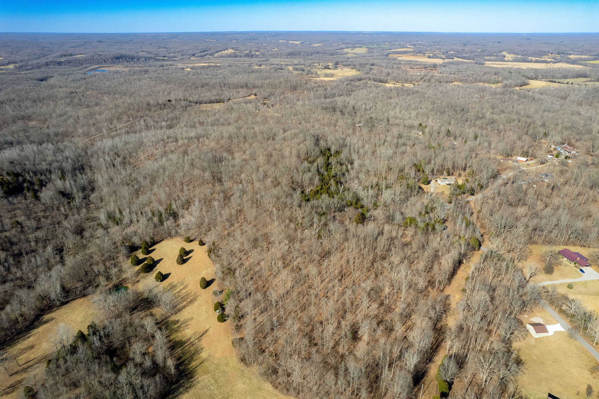 0 Flintridge Road Palmyra, TN 37142 - Photo 5 of 13