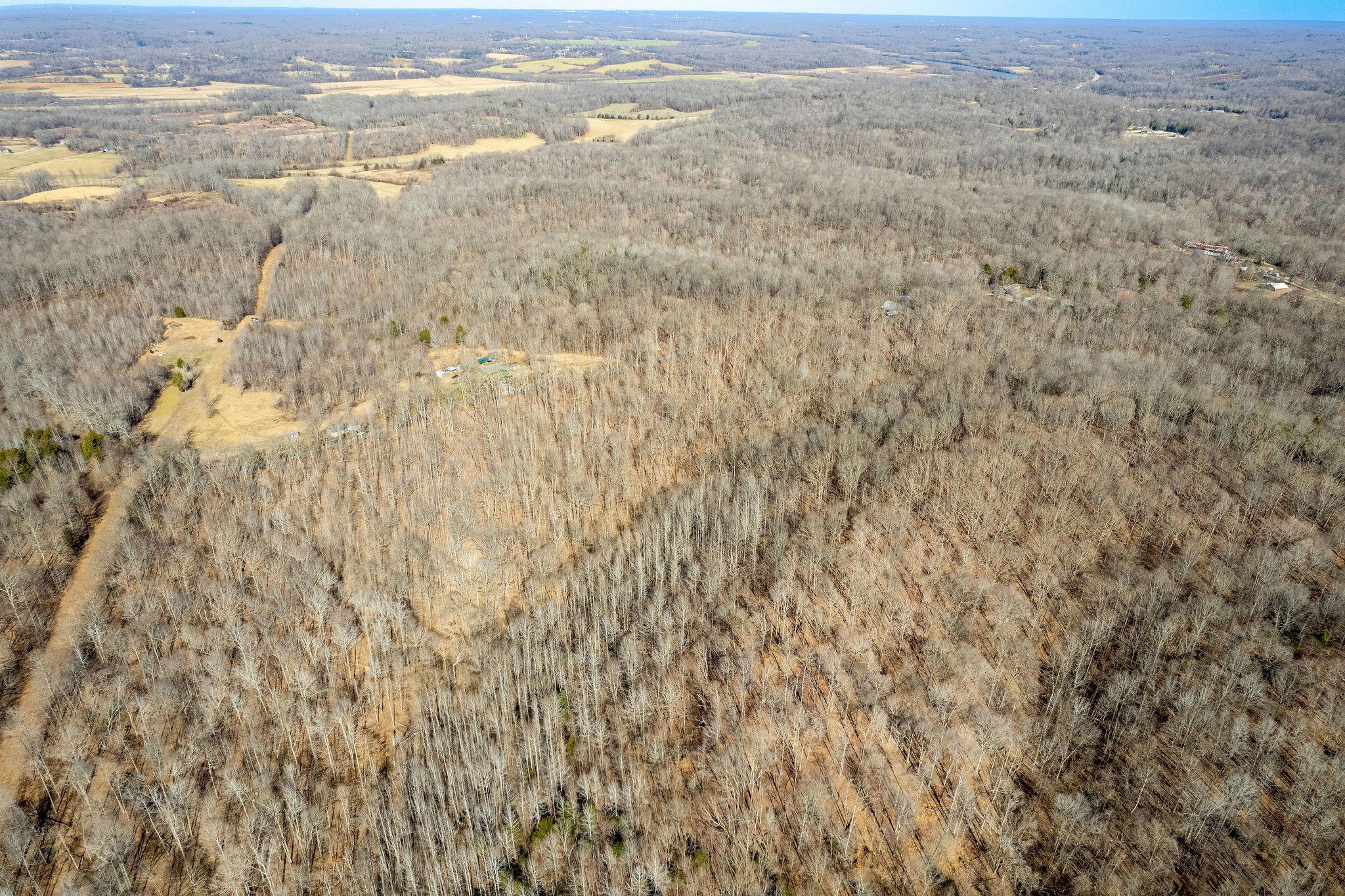 0 Flintridge Road Palmyra, TN 37142 - Photo 6 of 13