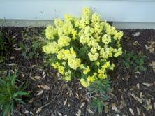 504 High Point Road Clarksville, TN 37042 - Photo 18 of 19 Gallery Image 18