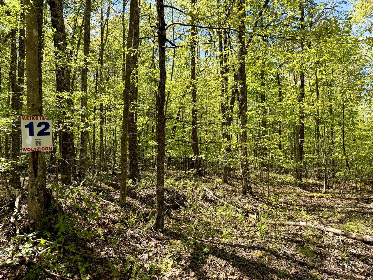 0 Iona Road White Oak, WV 25989 - Photo 23 of 150 Tract-12-IMG_4467