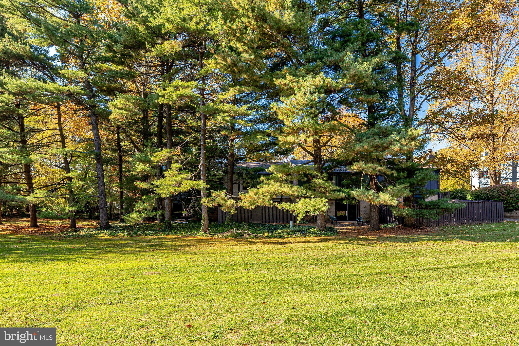1702 Ivy Oak Square Reston, VA 20190 - Photo 54 of 59 Spacious Green Space