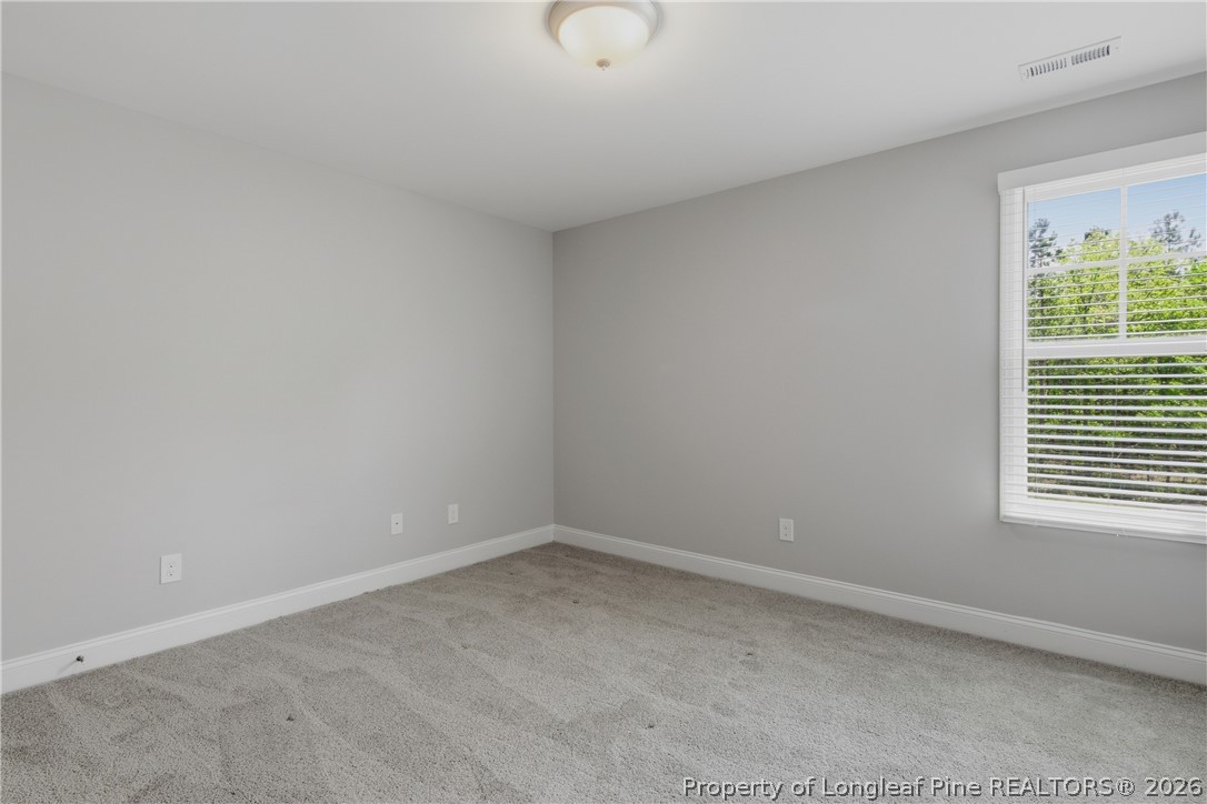 254 Collier Street Linden, NC 28356 - Photo 34 of 50