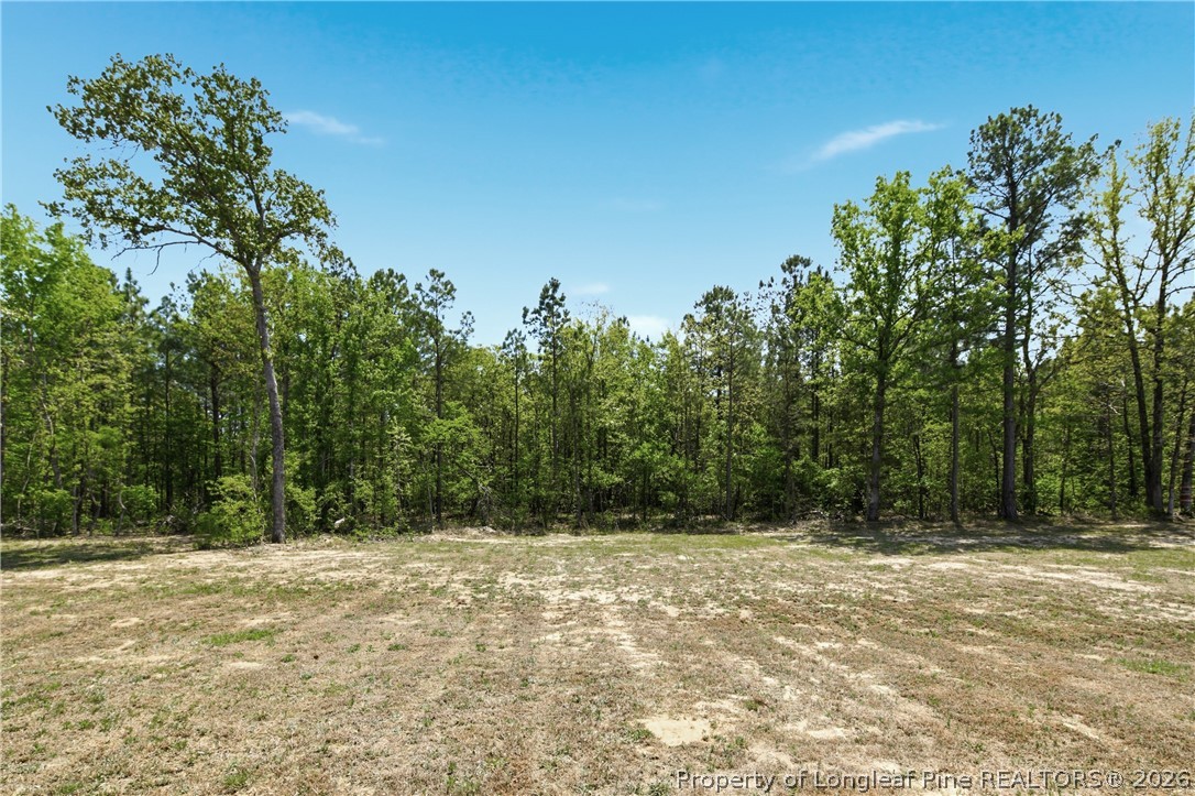 254 Collier Street Linden, NC 28356 - Photo 49 of 50