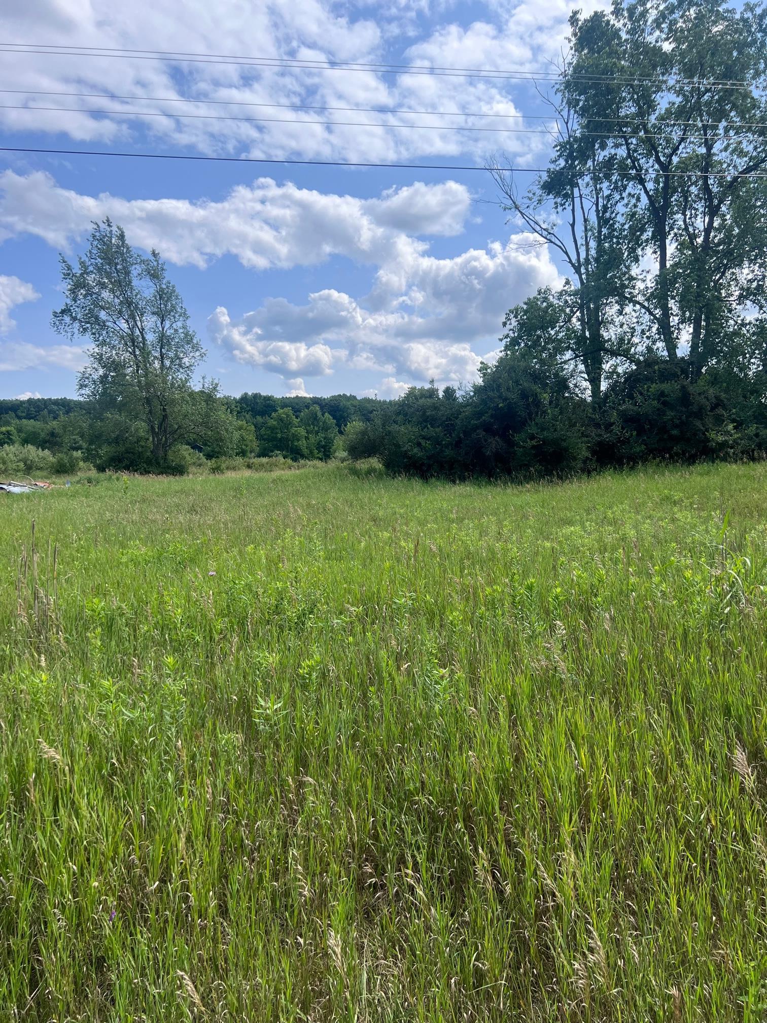 Tbd West Pickard Road Remus, MI 49340 - Photo 7 of 15