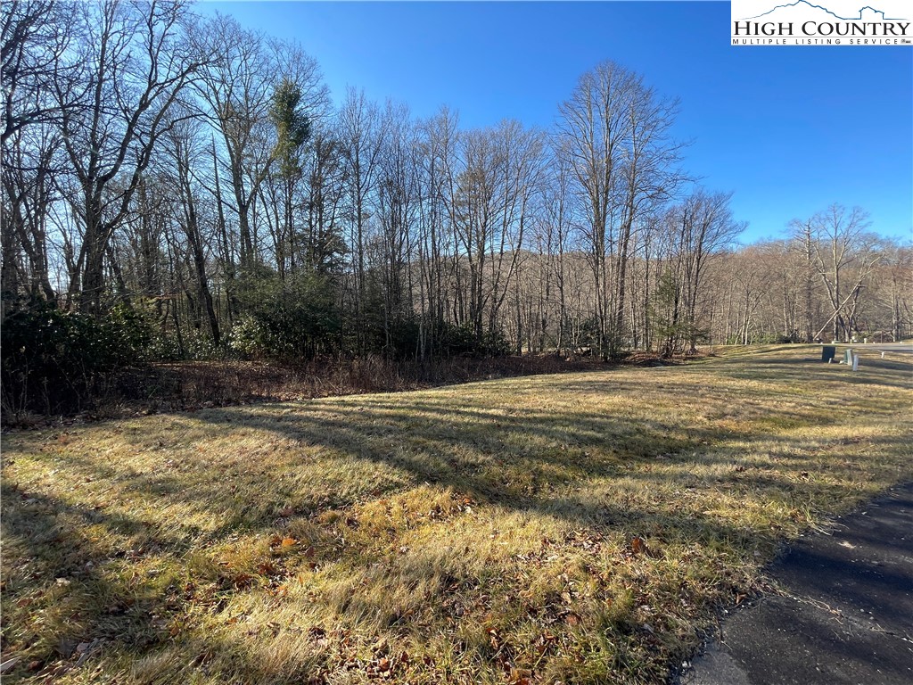 a view of a yard with a large tree