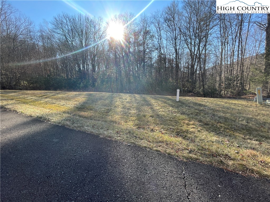 4-5 Trillium Lane Linville, NC 28646 - Photo 2 of 6 a view of a yard with trees