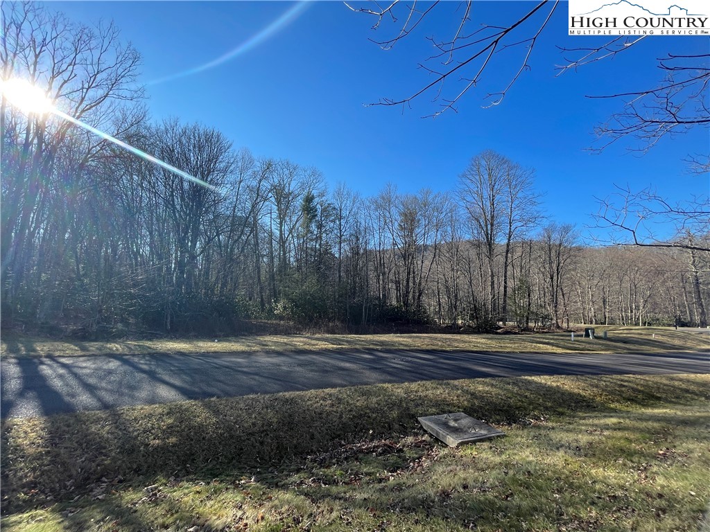 4-5 Trillium Lane Linville, NC 28646 - Photo 4 of 6 a backyard of a house