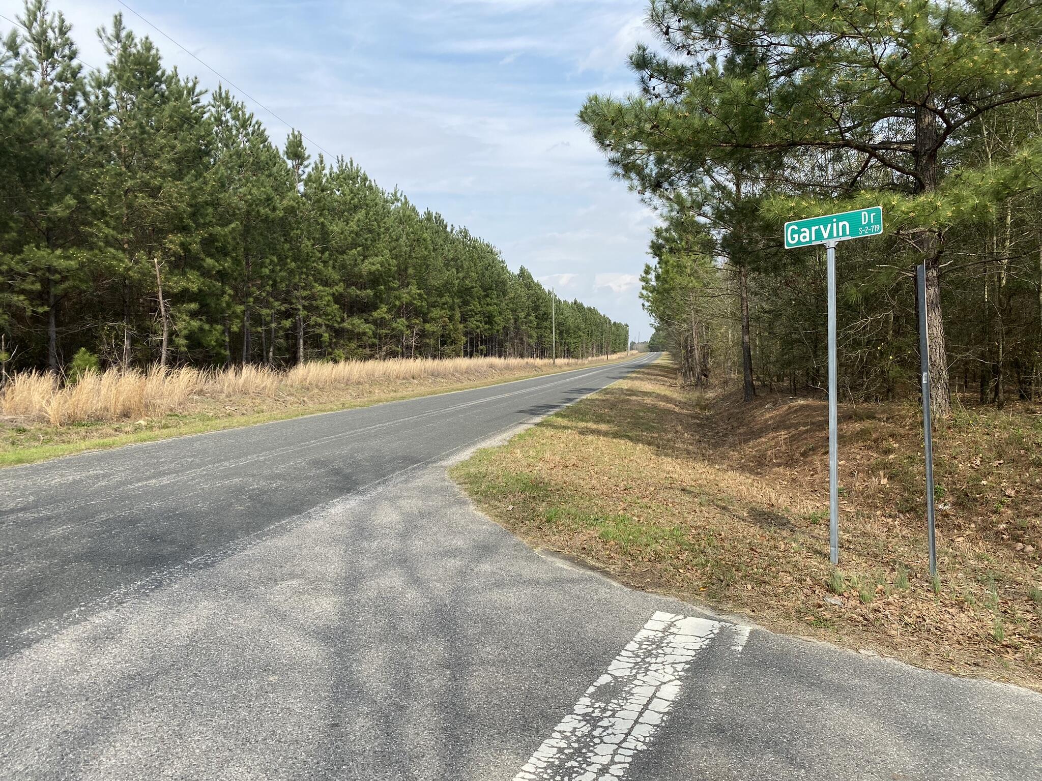Lot 2 Collum Pond Road Wagener, SC 29164 - Photo 1 of 1