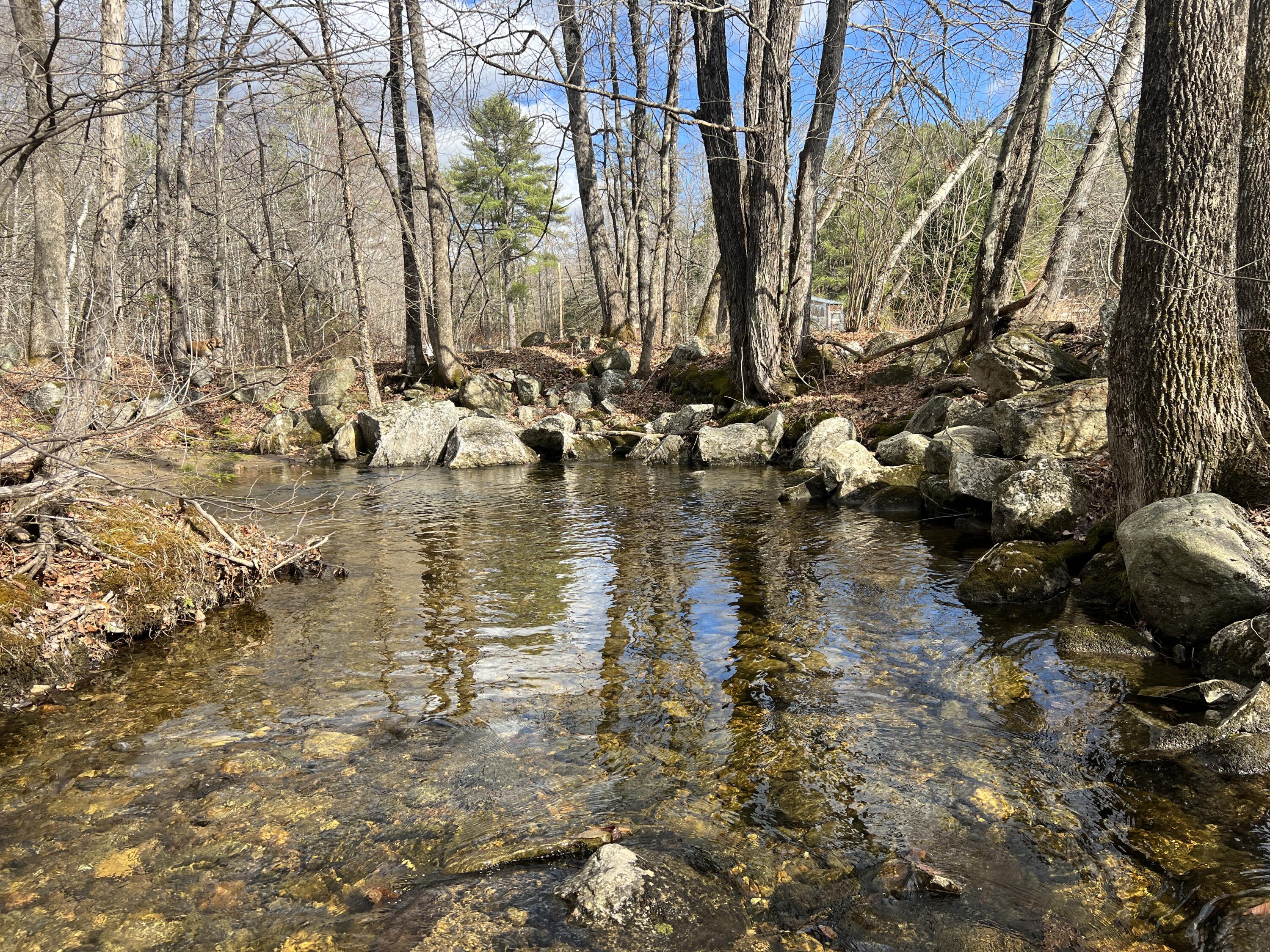 783 Paris Hill Road Paris, ME 04281 - Photo 58 of 69 IMG_8570