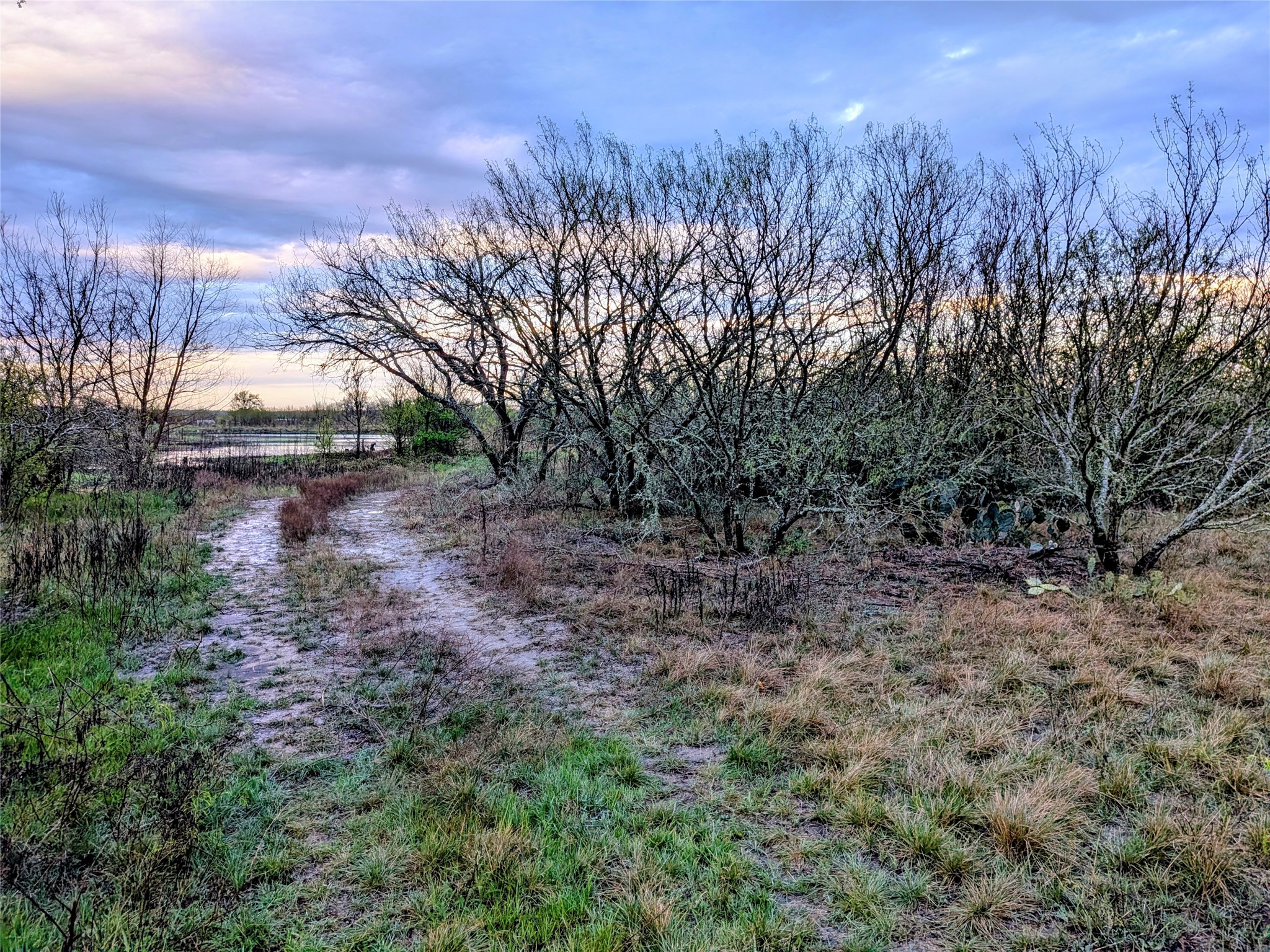 0 Upper Elgin River Road Elgin, TX 78621 - Photo 14 of 17 a view of a yard with a tree