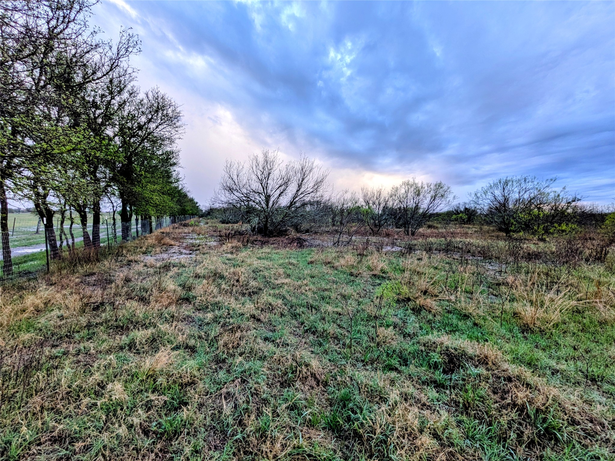 0 Upper Elgin River Road Elgin, TX 78621 - Photo 15 of 17 a view of a big yard with plants and large trees