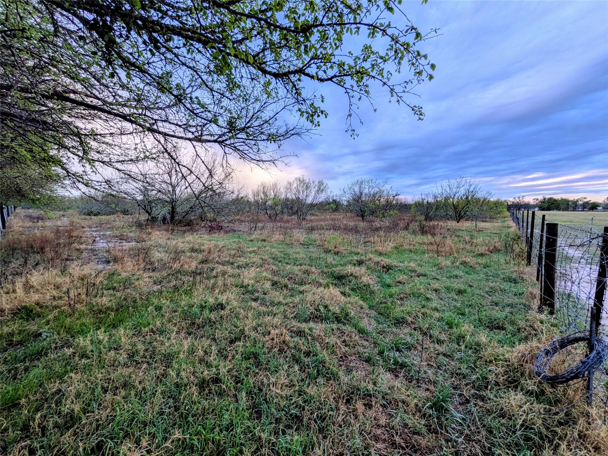 0 Upper Elgin River Road Elgin, TX 78621 - Photo 16 of 17 a view of a yard with an outdoor space
