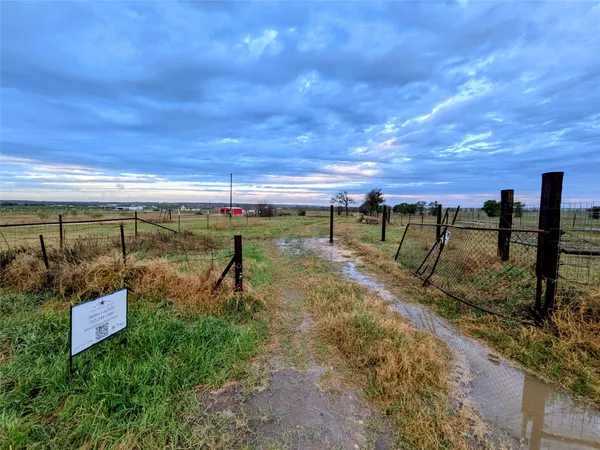 a view of a pathway with a garden
