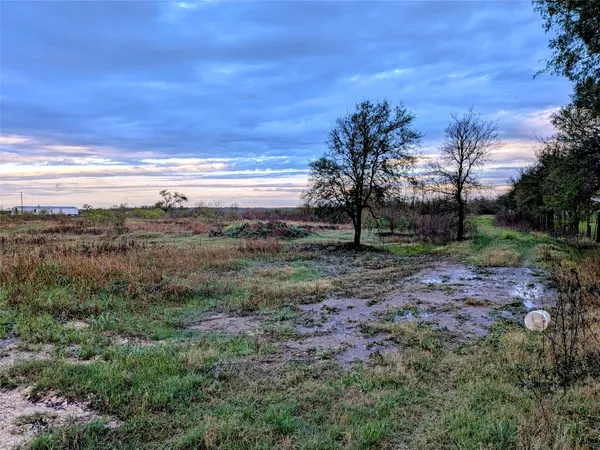 a view of a big yard with lots of green space
