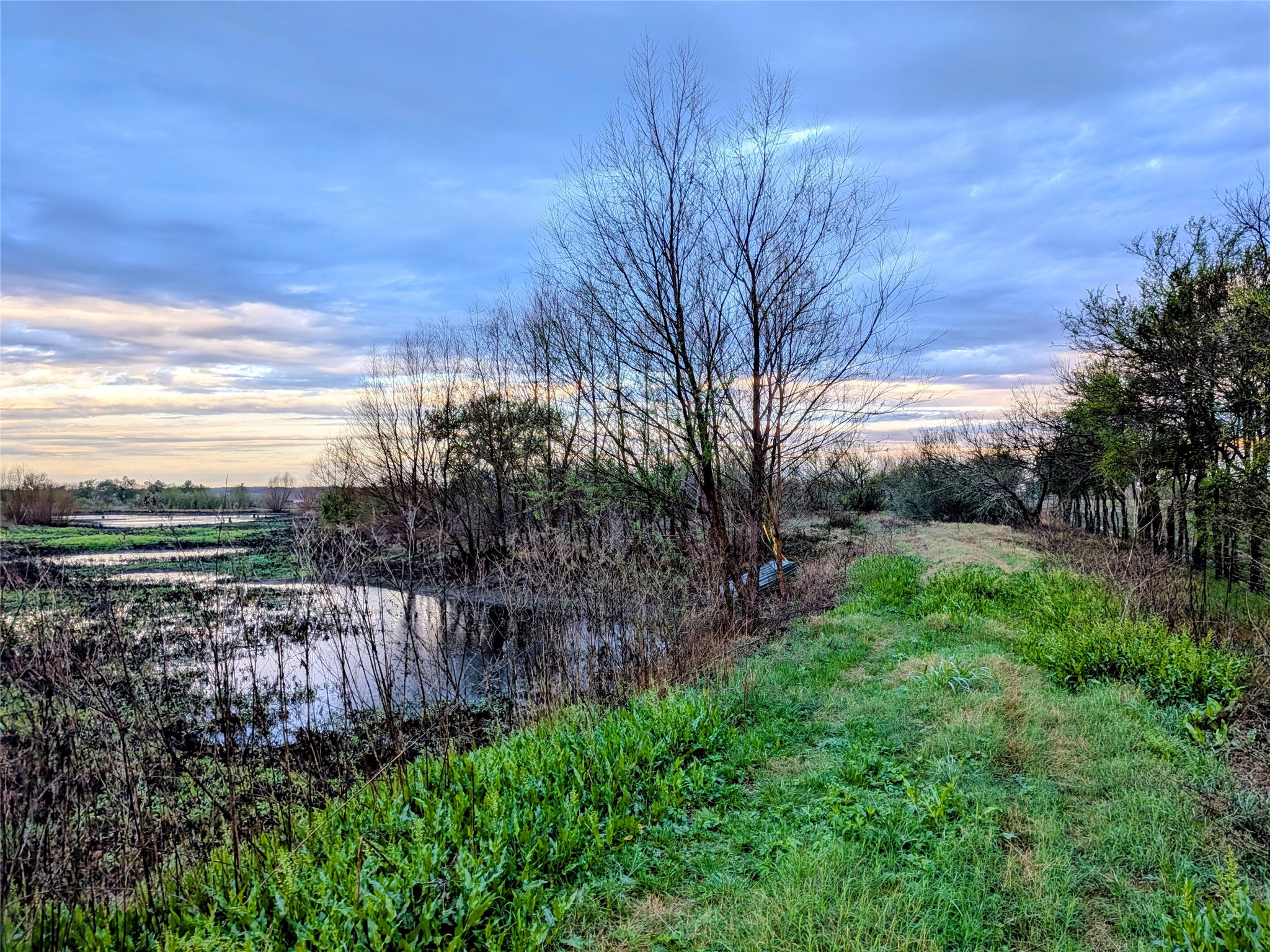 0 Upper Elgin River Road Elgin, TX 78621 - Photo 10 of 17 a view of a pathway with a garden