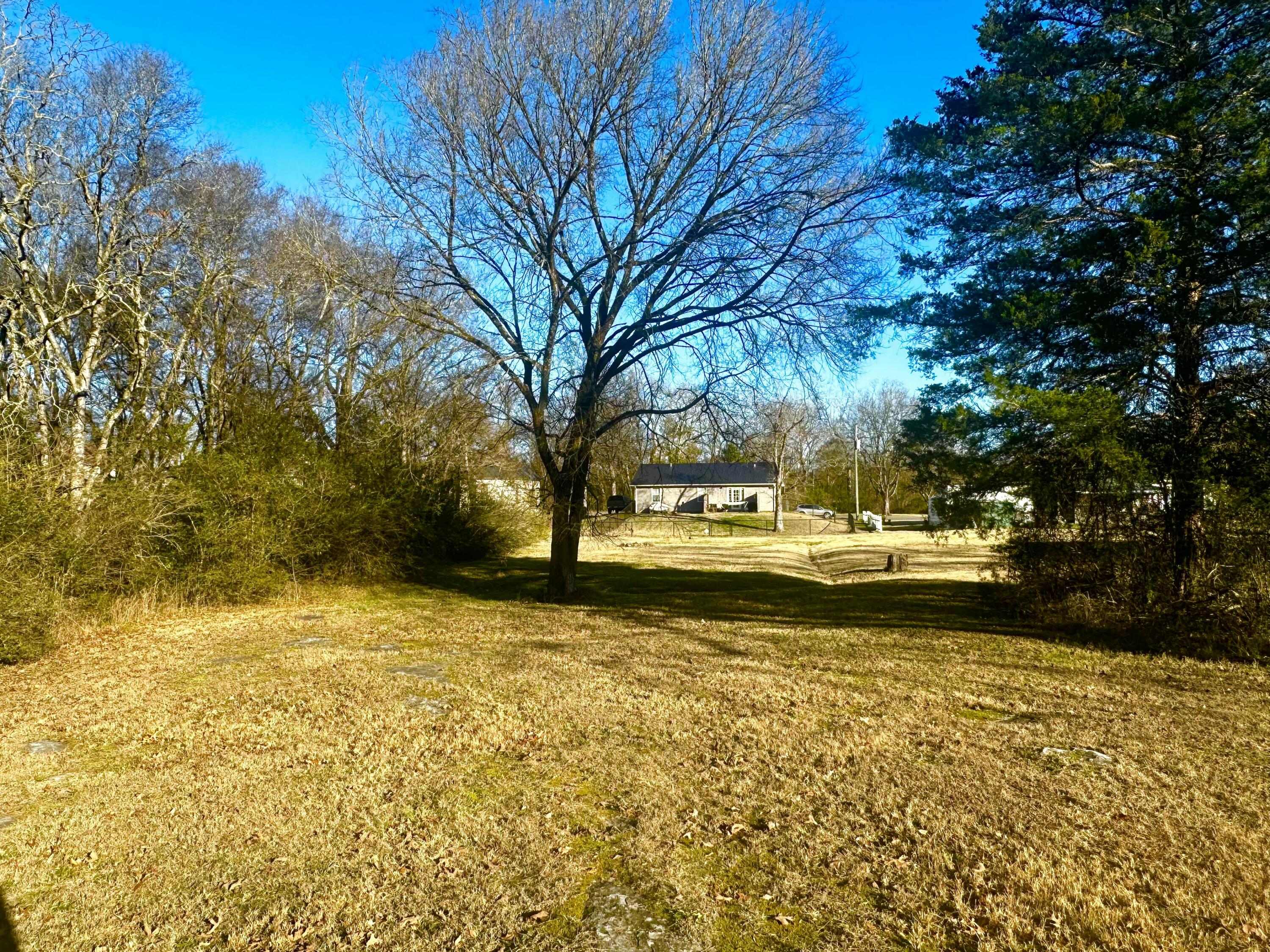 1501 Lee Street Chickamauga, GA 30707 - Photo 12 of 45 IMG_0633