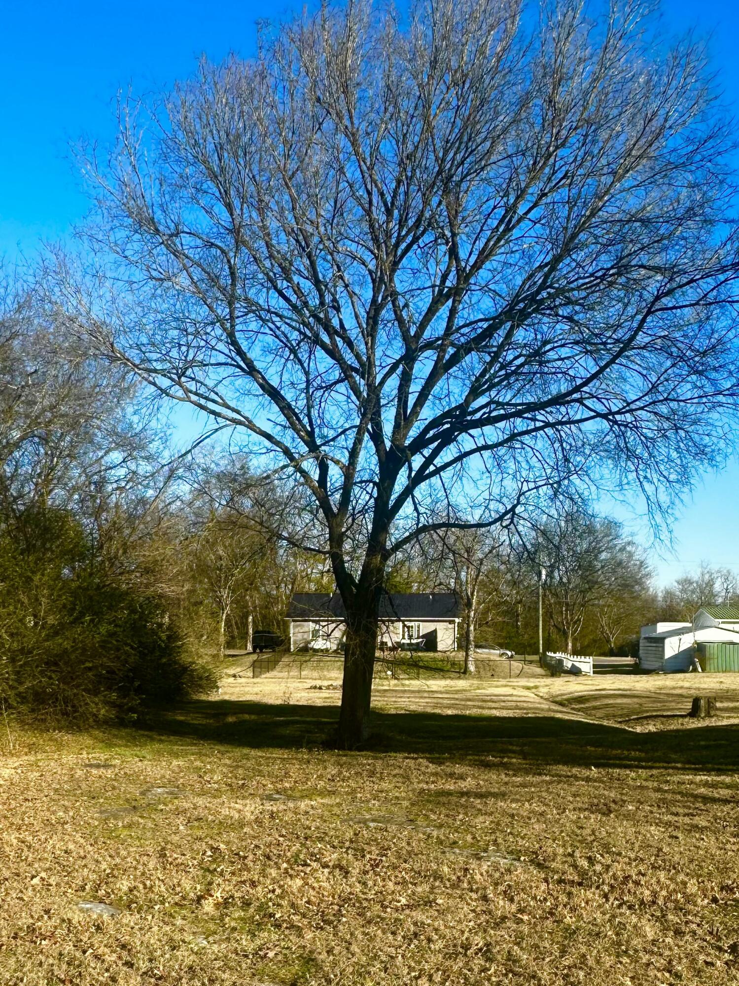 1501 Lee Street Chickamauga, GA 30707 - Photo 13 of 45 IMG_0634