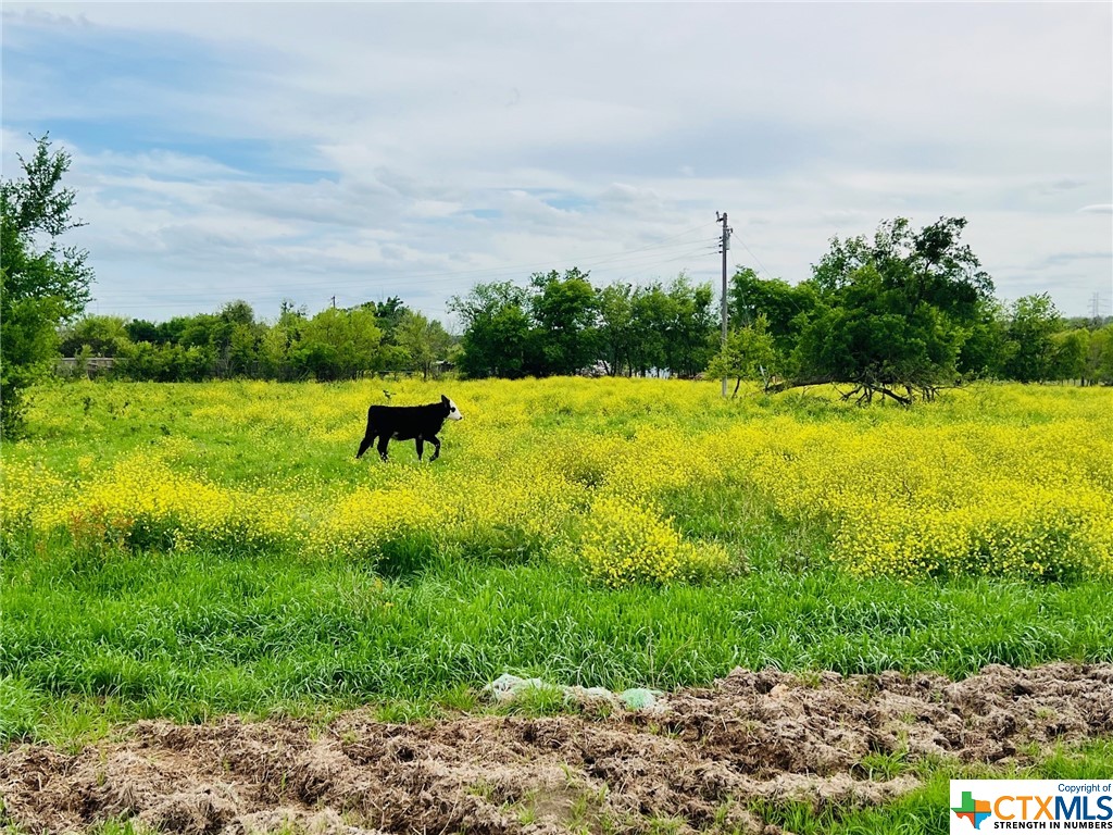 1855 East French Ave