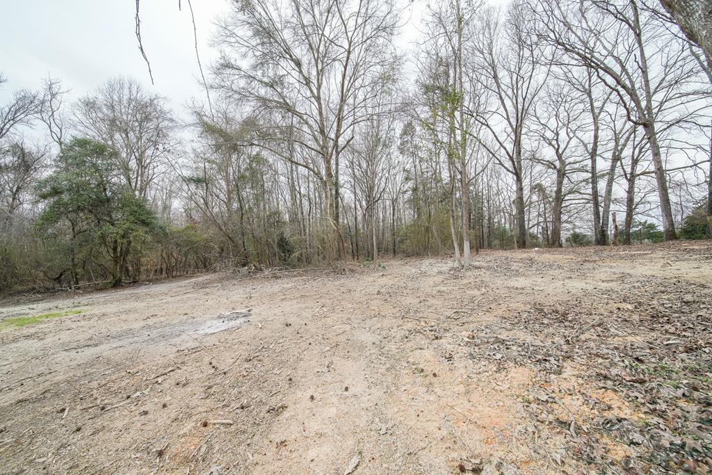 1050 Mt Airy Road Waverly Hall, GA 31831 - Photo 31 of 31 a view of a backyard with large trees