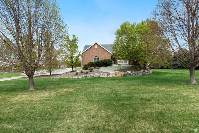 View of grassy yard