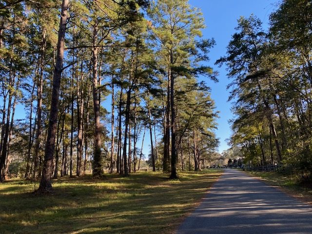 Lot 2 Anhinga Farms Road Tallahassee, FL 32309 - Photo 1 of 6 Gallery Image 1