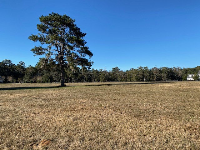 Lot 2 Anhinga Farms Road Tallahassee, FL 32309 - Photo 4 of 6 Gallery Image 4