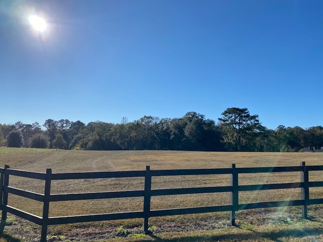 Lot 2 Anhinga Farms Road Tallahassee, FL 32309 - Photo 6 of 6 Gallery Image 6