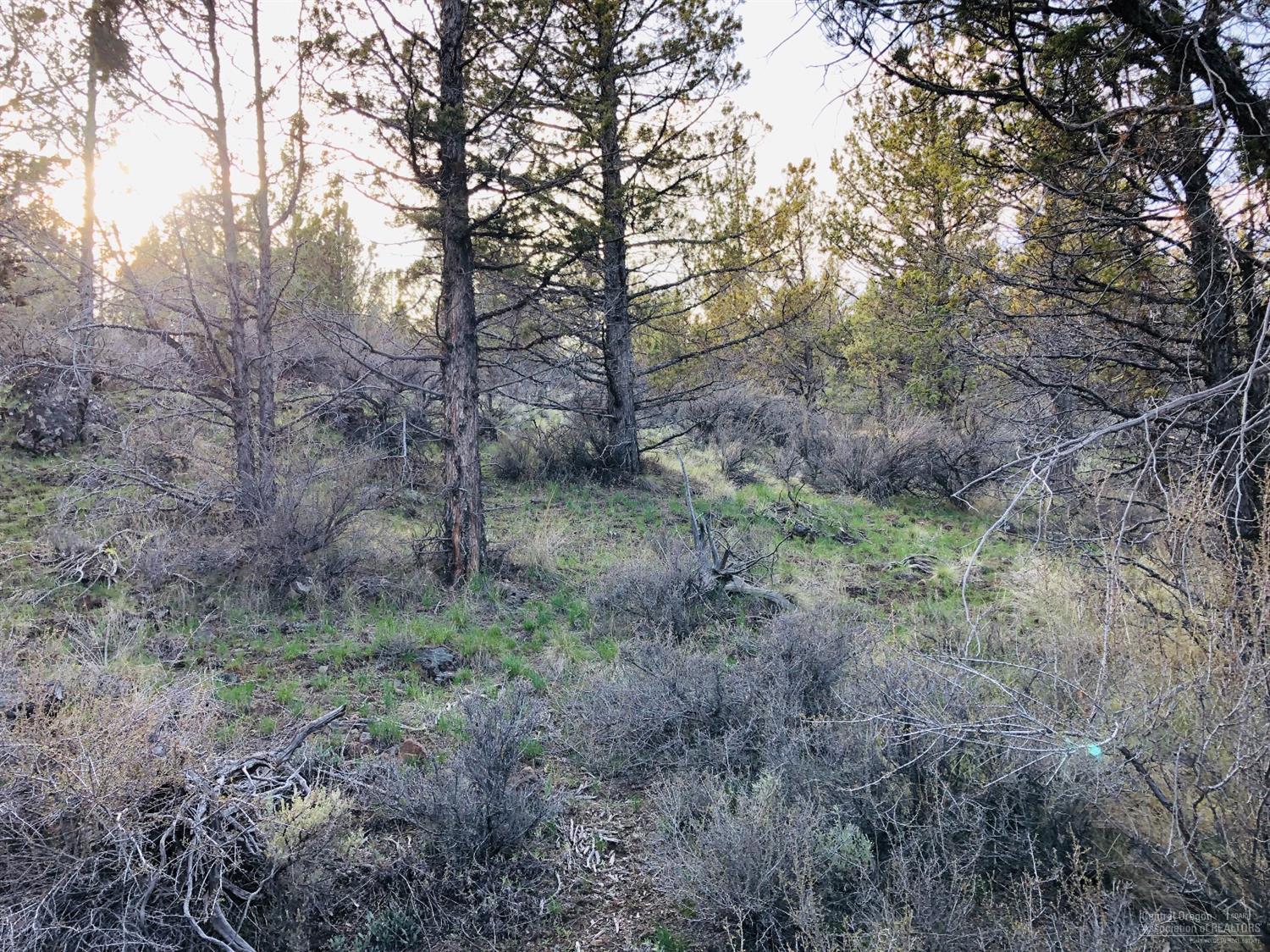 20741 Eagle View Road Prineville, OR 97754 - Photo 9 of 19 Additional Photo