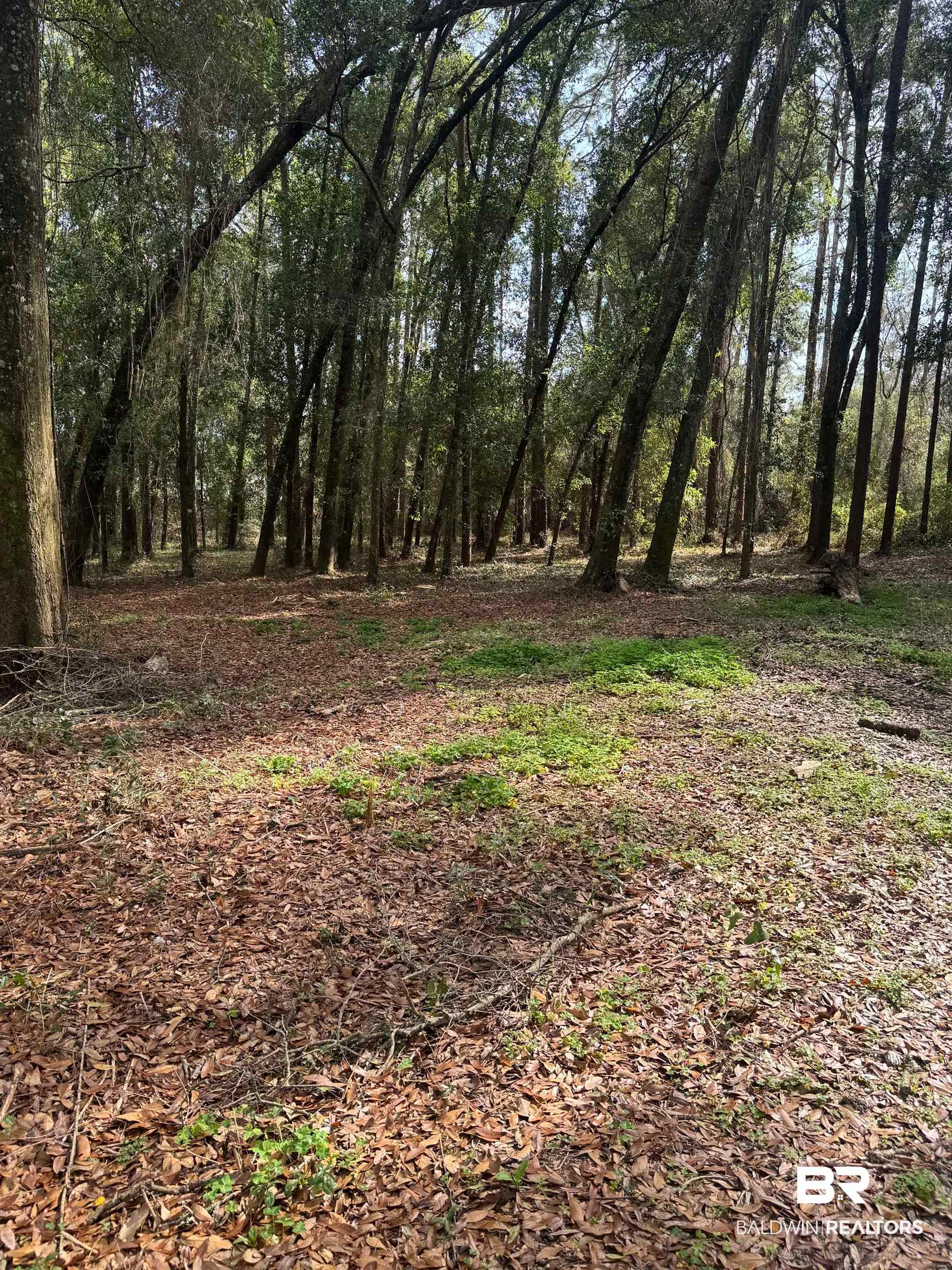 12 Santa Barbara Street Lillian, AL 36549 - Photo 1 of 5 View of nature