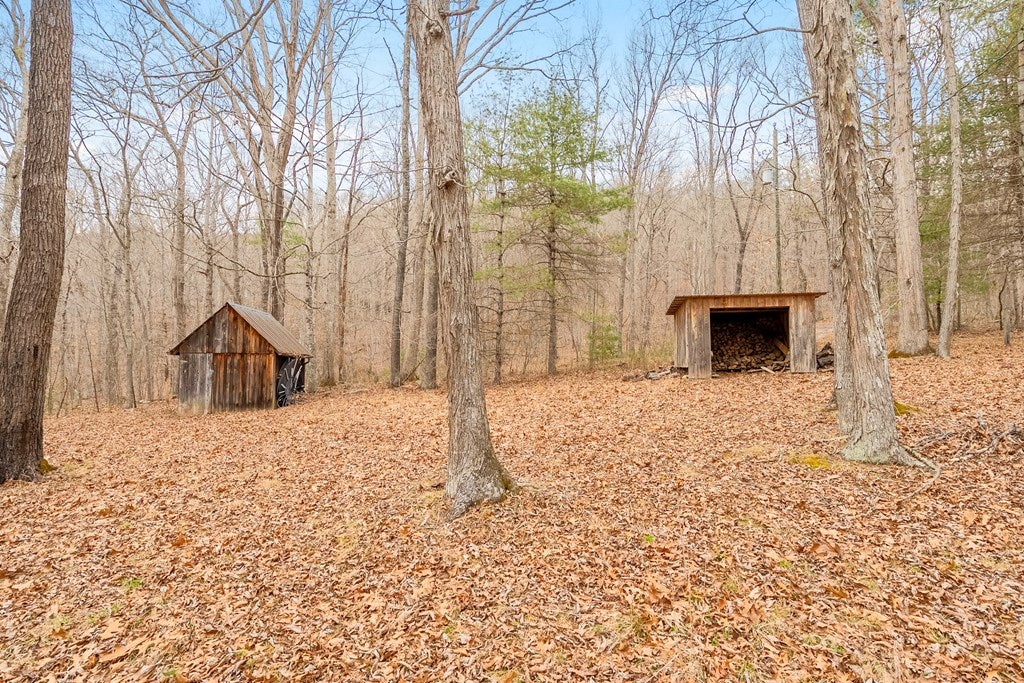 0 Grapefield Road Bastian, VA 24314 - Photo 53 of 63 Gallery Image 53